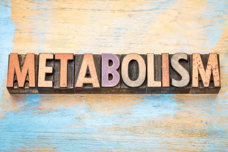metabolism word in wood type